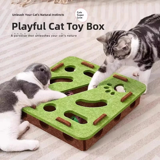 Felt Cat Puzzle Box with Ball Toy