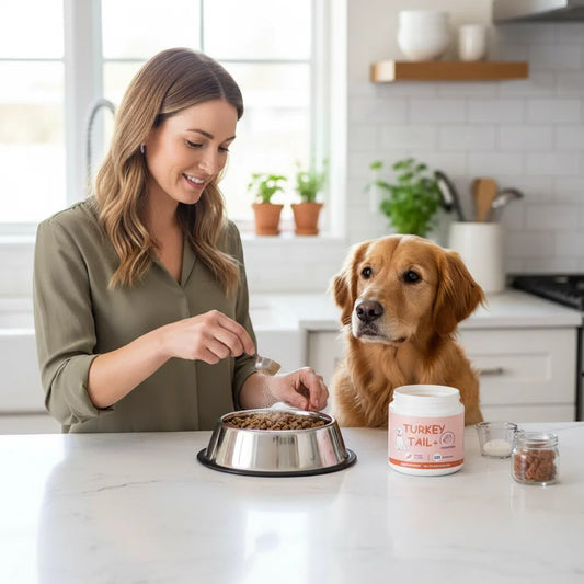 Bacon Flavored Pet Mushroom Powder – Appetite Booster (1/2/3pcs)