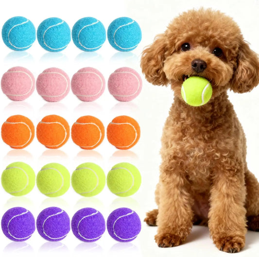 20 Pack Mini Dog Tennis Balls